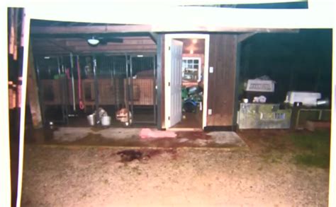 pictures of the murdaugh crime scene|Alex Murdaugh Trial: Gruesome Crime Scene Photos。